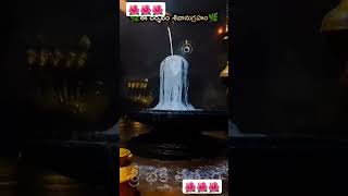 samasth lokalki thandrri shivaya please subscribe friends youtubers 🙏 [upl. by Rostand968]