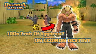 Using 100x Fruit Of Yggdrasil On Leomon Destiny  Digimon Masters Online GDMO  Leomon Size Ranking [upl. by Nylacaj]