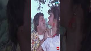 Anuragavenu Anandavenu Video Song  Nammoora Raja Vishnuvardhan Manjula Sharma Kannada Old Songs [upl. by Yesdnyl]