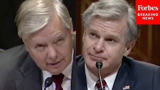 Youve Been Following The Sussman Trial Lindsey Graham Presses FBI Director Christopher Wray [upl. by Luebke318]