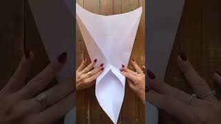 Boomerang paper 🚀 plane [upl. by Goss]