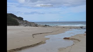 Little Beach Campground Chain of Lagoons Tasmania Ironhouse Point Bicheno Tassie [upl. by Enilrac]