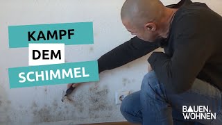 Kampf dem Schimmel  So werden Sie ihn los  BAUEN amp WOHNEN [upl. by Pompei]