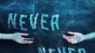 Never Never Colleen Hoover Tarryn Fisher Audiobook pl [upl. by Adnerol617]