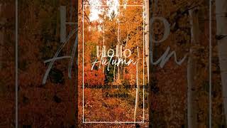 Herbstfeeling  Hello Autumn natur food [upl. by Januisz]