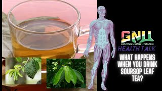 What Happens When You Drink Soursop Leaf Tea [upl. by Kornher]