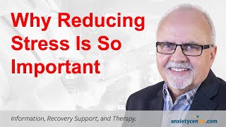 Why Stress Reduction Is So Important For Anxiety Disorder Recovery [upl. by Fineman]