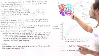 Fetal Hemoglobin and 23 BPG [upl. by Hsizan]