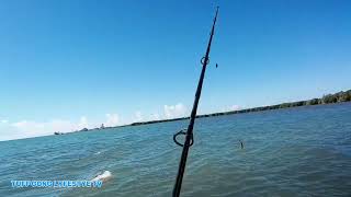 tuffgong LYFESTYLE My First Permit Jack Caught At Salt River Welcome Beach [upl. by Benetta]