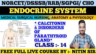 ENDOCRINE SYSTEM Medical Surgical Nursing CLASS 14FREE LIVE COURSE NORCETDSSSBRRB freeclasses [upl. by Eniowtna]