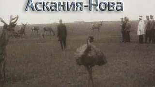 Таврида Заповедник АсканияНова 1914 год Визит Николая II в заповедник в апреле 1914 г [upl. by Parfitt]