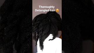 IS DETANGLING THE SECRET TO LONG HAIR 4chair 4cnaturalhaircare hairstyles detangling type4 [upl. by Ainesell399]