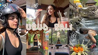 FIRST SOLO TRIP TO BALI What I spend in a day travelling meeting people solo travelling Ubud Bali [upl. by Olag]