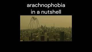 Arachnophobia in a nutshell slander funny spider arachnophobia giantenemyspidermeme lol meme [upl. by Brenan]