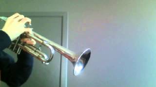 Cant Hold Us  Macklemore ft Ryan Lewis  Trumpet Solo [upl. by Aldin]