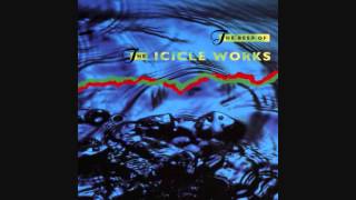 Icicle Works  One Time [upl. by Booth32]