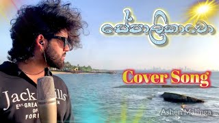 Sepalikawo  සේපාලිකාවෝ  Shehan Kaushalya  Coverd by Ashen Malinga [upl. by Krilov]