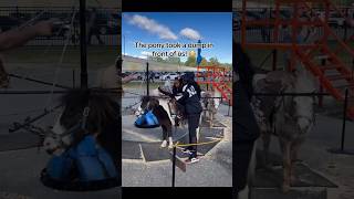 The pony took a dump  ponyride horseriding statefair [upl. by Vivle994]