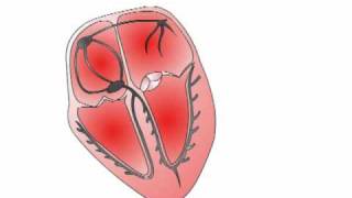 ECG Interpretation  The Cardiac Axis Section 2 Part 3 [upl. by Ennaxxor]