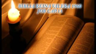 Biblia HabladaBIBLIA REINA VALERA 1960 JOB CAP 13 [upl. by Linnie]