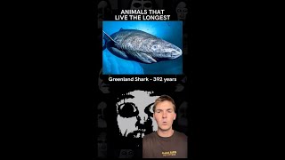 Animals that live the longest Mr Incredible Meme EXPLAINED [upl. by Dupre]