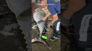 Jaw Dropping Speed Giant Bluefin Tuna Fin amp Tail Cutting in Record Time bluefin tuna cutting [upl. by Inamik986]