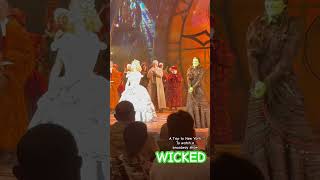 WICKED THE MUSICAL Broadway Show NY [upl. by Etteiram452]