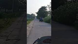 bolag amp automobile fruitgarden bolag fruitplants shorts edit travel varul youtube fruit [upl. by Haymes744]