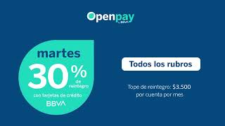 Conocé las nuevas promos de Openpay [upl. by Immot]