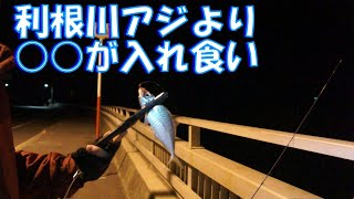 あの魚がツ抜けでした【アジング千葉】 [upl. by Iffar]