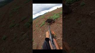 Охота на дикого кабана на очень близком расстоянии cinghiale chasse wildboar охота дикий кабан [upl. by Phelips]