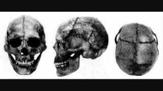 The facial type of the early FinnoUgrians [upl. by Agustin]