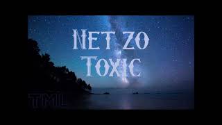 TML  Net zo Toxic Lyrics2024 [upl. by Ahsiemat]