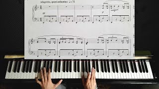 Habanera from quotCarmenquot by Bizet  Piano Tutorial [upl. by Theurich956]