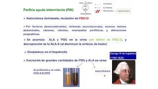 Teórica Metabolismo del Hemo Parte 2 [upl. by Stillas]