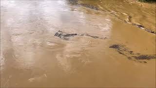 Hurricane Helene Flooded Yadkin River Elkin Jonesville North Carolina [upl. by Yraeht]