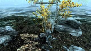 The Elder Scrolls V Skyrim  The Quill of Gemination [upl. by Wolfram67]