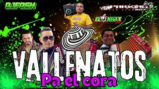 AUDIOMIX VALLENATO PAL CORAZON VOL2 BY DJ FOSH507  VALLENATO CORTA VENA  LOS CAMINOS DE LA VIDA [upl. by Ennylcaj293]