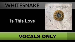 Whitesnake  Is This Love Vocals Only  Acapella [upl. by Rednazxela]