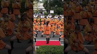 Sixty years of orange costumes and Sng Sing Singthats tradition [upl. by Yetsirhc947]