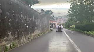 Toboggan ride on the streets of Monte Madeira Portugal [upl. by Atiuqcir]