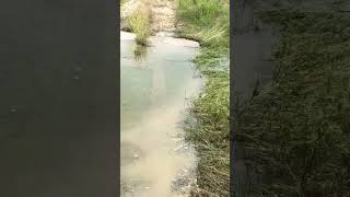 Caney Creek Flood NEW BRAUNFELS COMAL COUNTY [upl. by Niveb623]