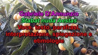 Gabriele DAnnunzio  Stabat nuda Aestas voce testo parafrasi e spiegazioni [upl. by Cade840]