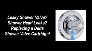 How to Replace a Delta Shower Valve Cartridge RP19804 [upl. by Treblig989]