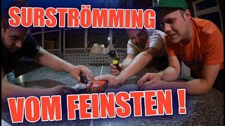 Unfassbar ekeligen Surströmming essen   ItsMarvin [upl. by Dajma11]