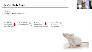 Dr Amy Marriott LSTM UK on A refined murine model of snakebite envenoming to determine venom [upl. by Naitsirt465]