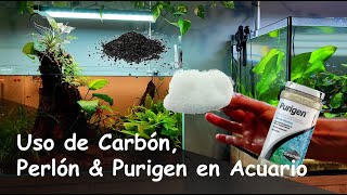 Por qué NO DEBEMOS USAR Carbón Activo Perlón o Purigen en Acuarios Plantados [upl. by Yrdua]