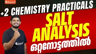 Plus Two Chemistry Practicals  Salt Analysis  Introduction  Eduport Plus Two [upl. by Yenial]