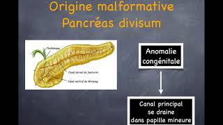 Pancréatite aiguë  5 Diagnostic étiologique [upl. by Naujad]