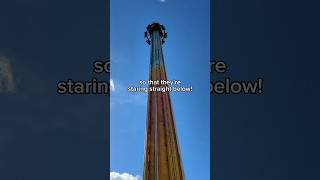 Busch Gardens’ FACEFIRST Drop Tower [upl. by Winwaloe115]